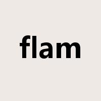 flam是什么意思