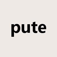 pute是什么意思