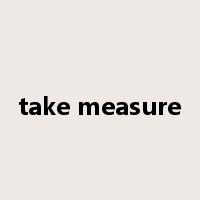take measure是什么意思