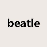 beatle是什么意思