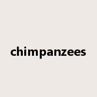 chimpanzees是什么意思