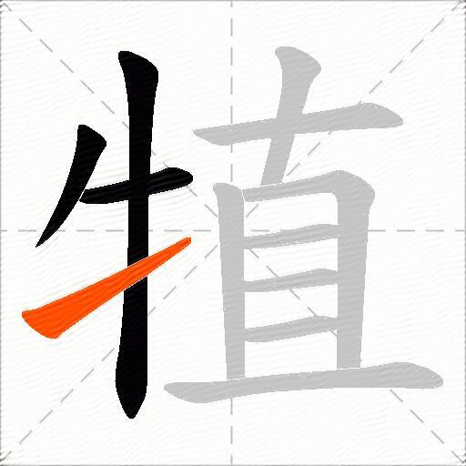 犆