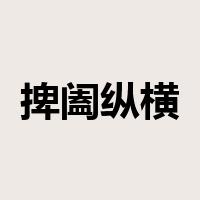 捭阖纵横是什么意思