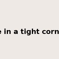 be in a tight corner是什么意思