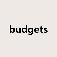budgets是什么意思