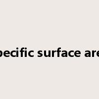 specific surface area是什么意思