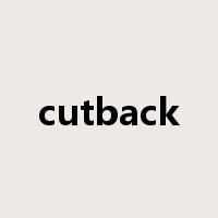 cutback是什么意思