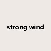 strong wind是什么意思