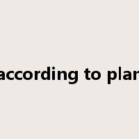 according to plan是什么意思