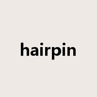 hairpin是什么意思