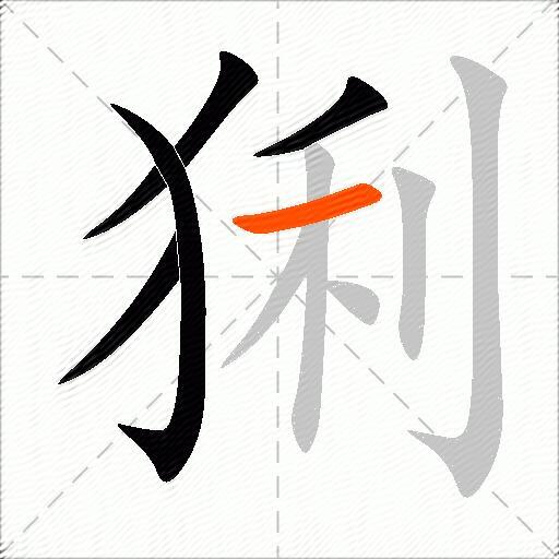 猁