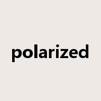 polarized是什么意思