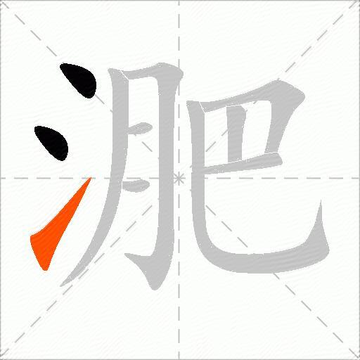 淝