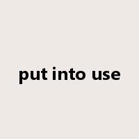 put into use是什么意思