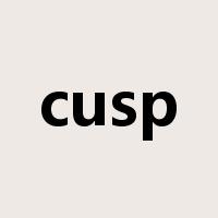 cusp是什么意思