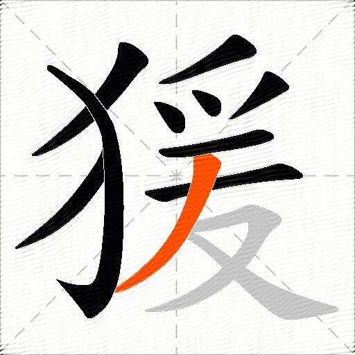 猨