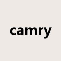 camry是什么意思