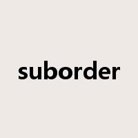 suborder是什么意思
