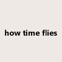 how time flies是什么意思