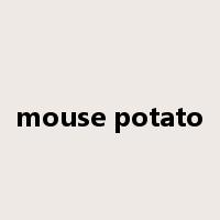 mouse potato是什么意思
