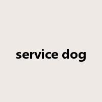 service dog是什么意思