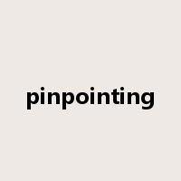 pinpointing是什么意思