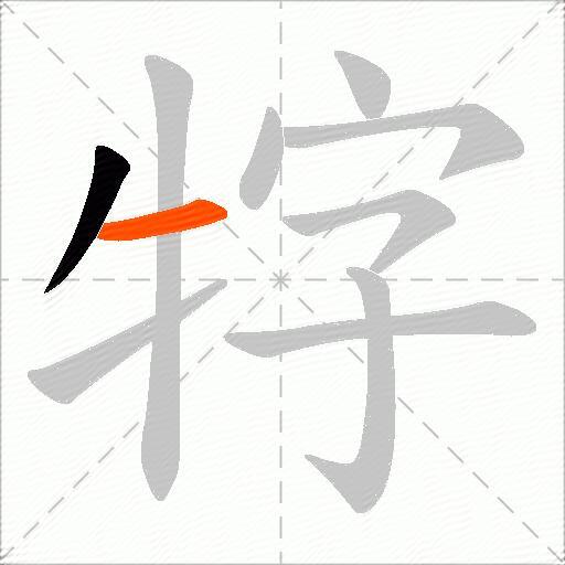 牸