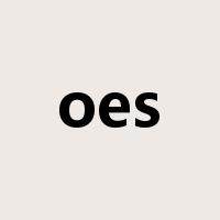 oes是什么意思