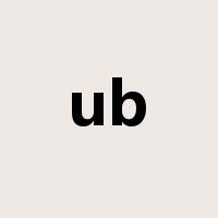 ub是什么意思