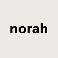 norah是什么意思