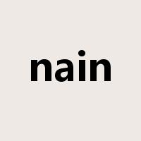 nain是什么意思