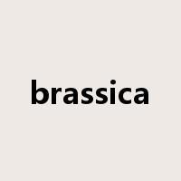 brassica是什么意思