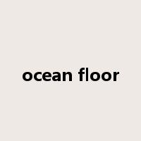 ocean floor是什么意思