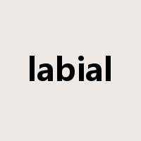 labial是什么意思
