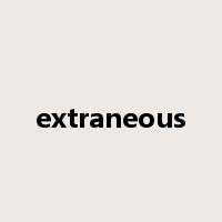 extraneous是什么意思