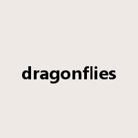 dragonflies是什么意思