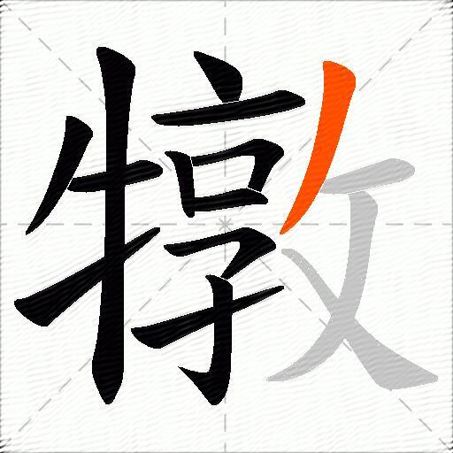 犜