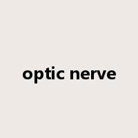 optic nerve是什么意思