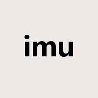imu是什么意思