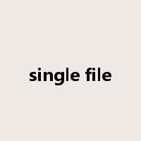 single file是什么意思