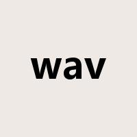 wav是什么意思