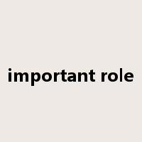 important role是什么意思