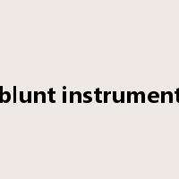 blunt instrument是什么意思