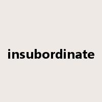 insubordinate是什么意思