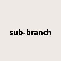 sub-branch是什么意思