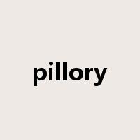 pillory是什么意思