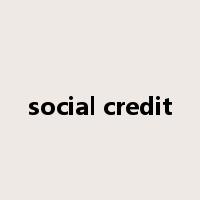 social credit是什么意思