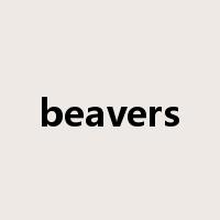 beavers是什么意思
