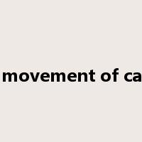 free movement of capital是什么意思