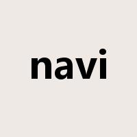 navi是什么意思